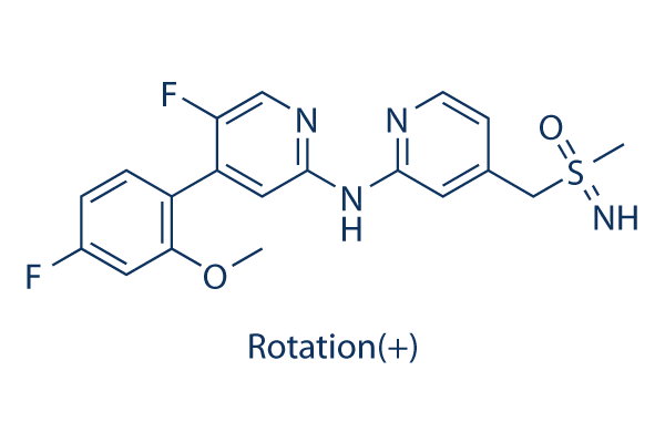 Enitociclib (BAY 1251152)