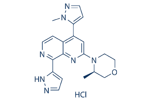 Elimusertib (BAY-1895344)hydrochloride