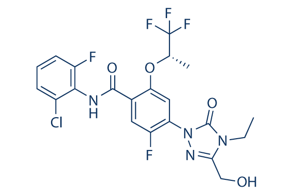 BAY 2402234 (Orludodstat)