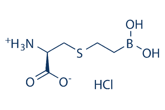 BEC HCl