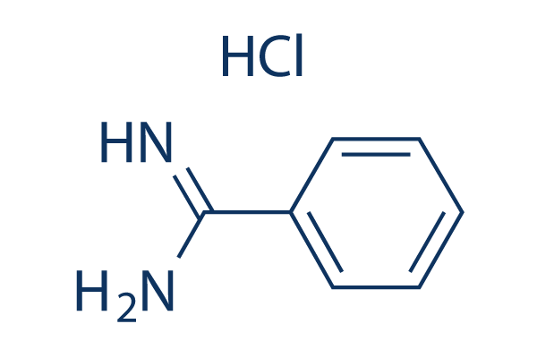 Benzamidine HCl