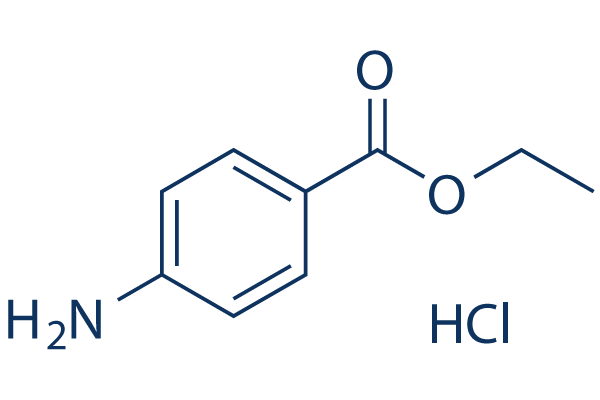 Benzocaine hydrochloride