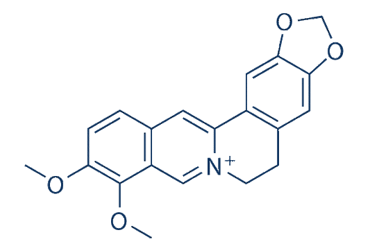 Berberine