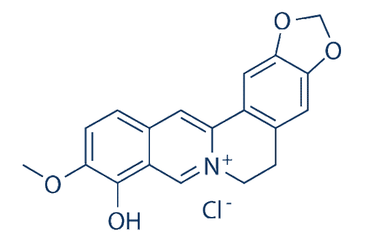 Berberrubine