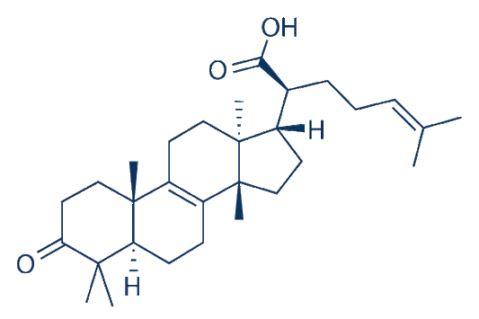 Beta-Elemonic acid
