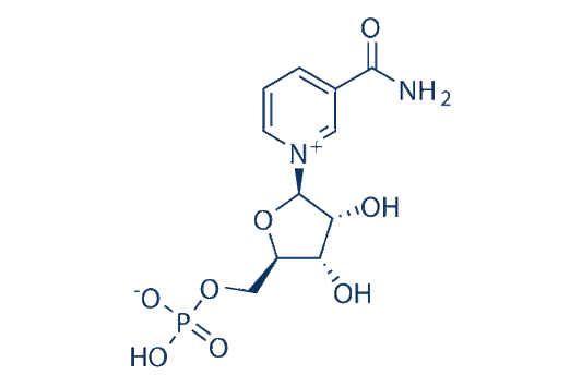 β-nicotinamide mononucleotide (NMN)