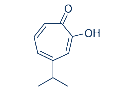 β-thujaplicin