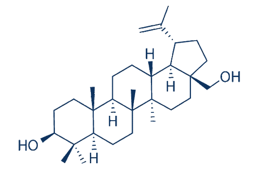 Betulin