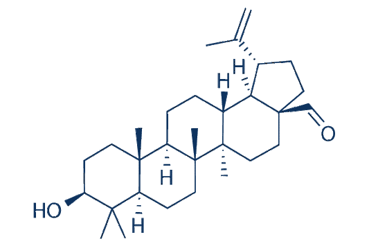 Betulinicaldehyde