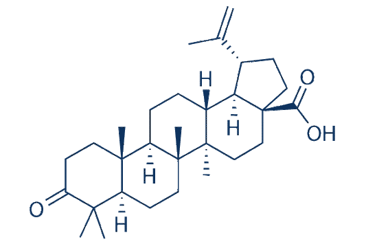 Betulonic acid