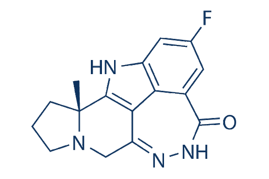Pamiparib