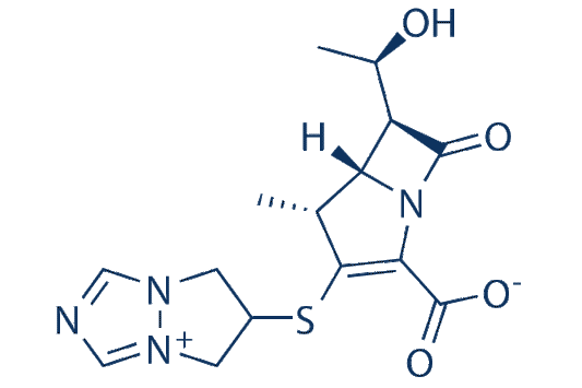 Biapenem