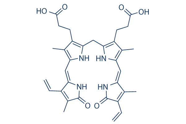 Bilibubin