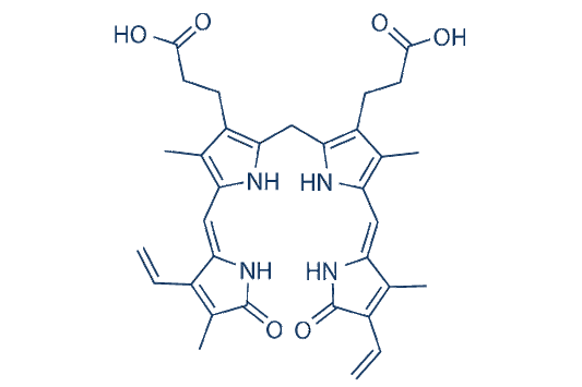 Bilibubin