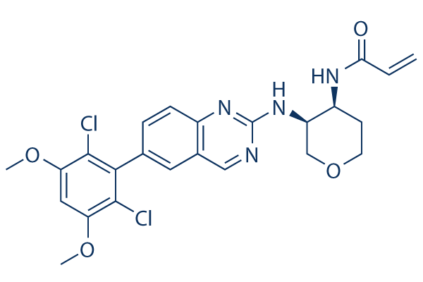 Fisogatinib (BLU-554)