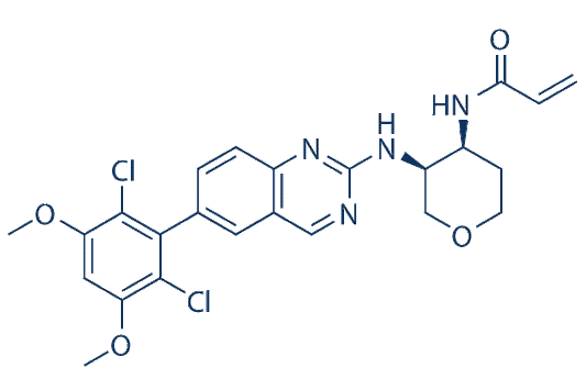 Fisogatinib (BLU-554)