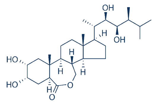 Brassinolide