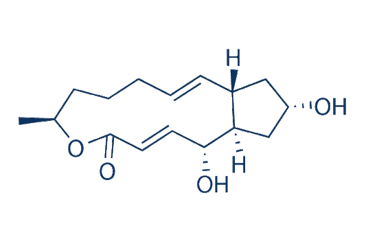 Brefeldin A (BFA chemical)