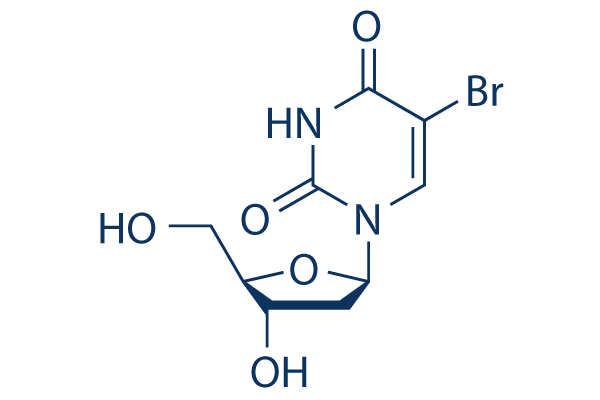 BrdU (Bromodeoxyuridine, 5-BrdU)