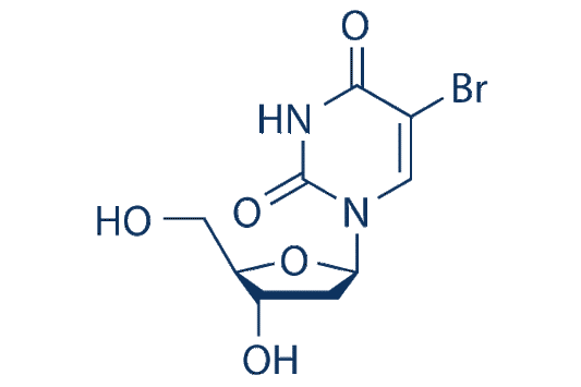 BrdU (Bromodeoxyuridine, 5-BrdU)