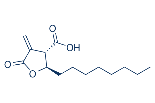C75 trans