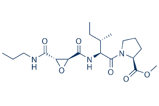 CA-074 methyl ester (CA-074 Me)