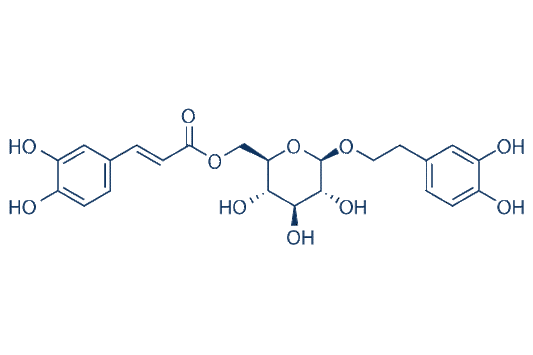 Calceolarioside B