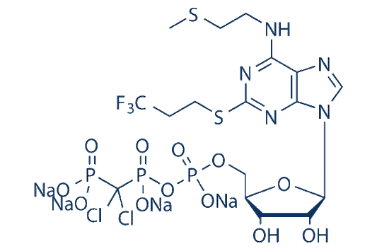Cangrelor Tetrasodium