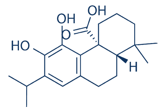 Carnosic acid
