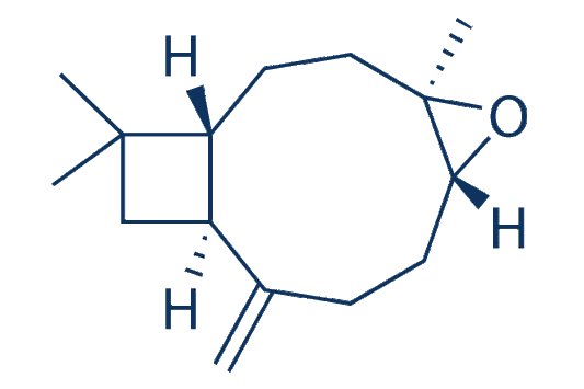 Caryophyllene oxide