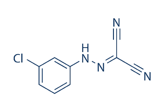 CCCP (Carbonyl cyanide 3-chlorophenylhydrazone)