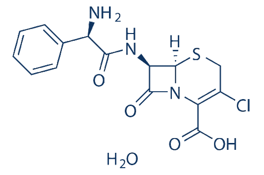 Cefaclor monohydrate