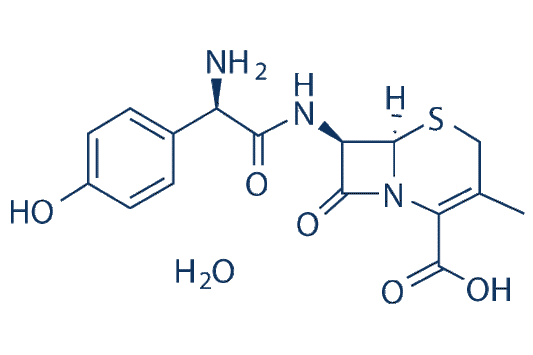 Cefadroxil hydrate