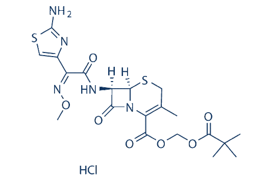 Cefetamet pivoxil hydrochloride