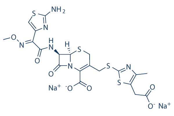 Cefodizime Sodium