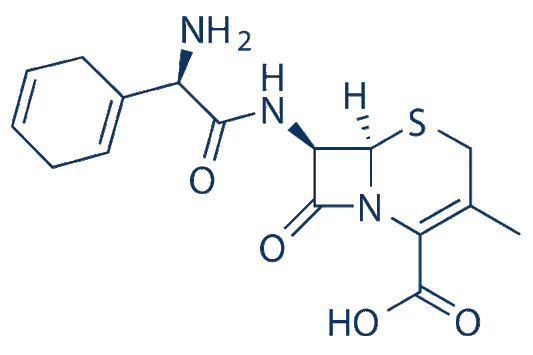 Cefradine