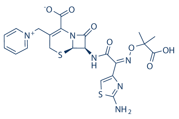 Ceftazidime