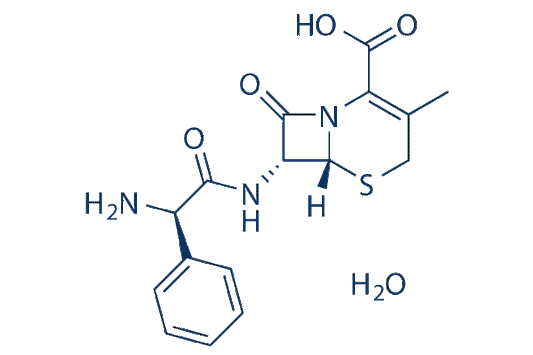 Cephalexin Monohydrate
