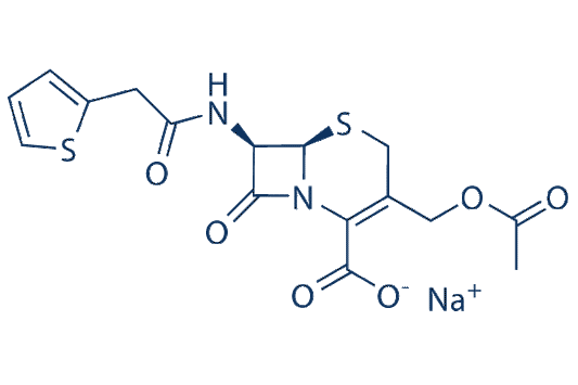 Cephalothin sodium