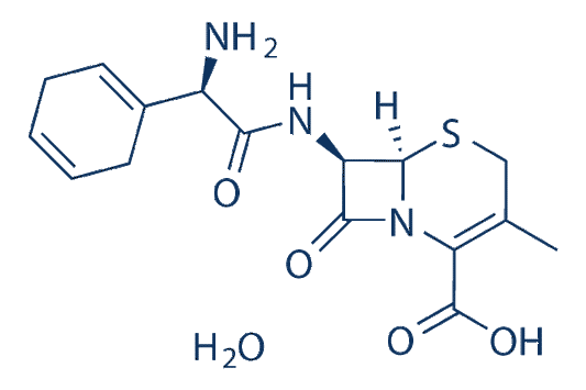 Cephradine monohydrate