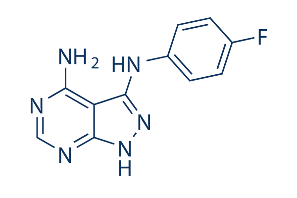 CGP 57380
