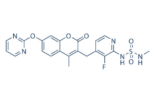 Avutometinib (Ro5126766, CH5126766)