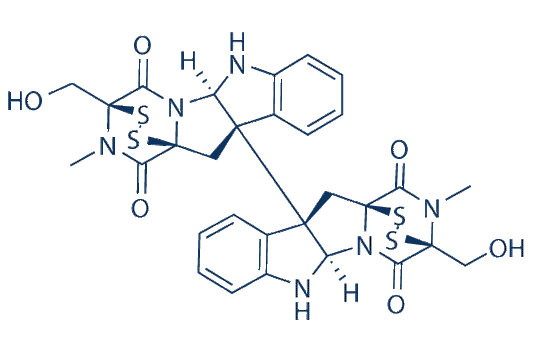 Chaetocin