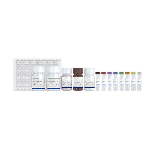CHO HCP ELISA Kit