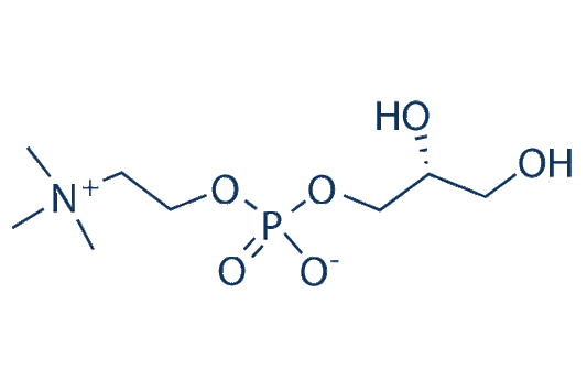 Choline Glycerophosphate