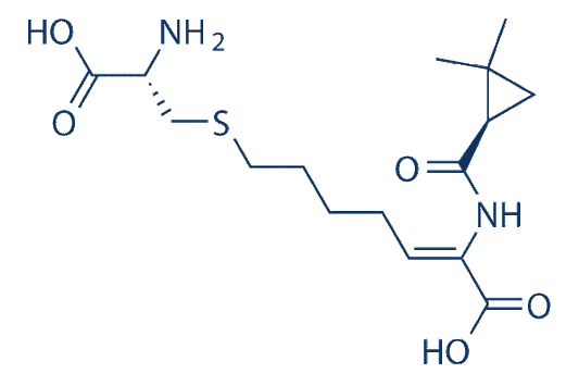 Cilastatin