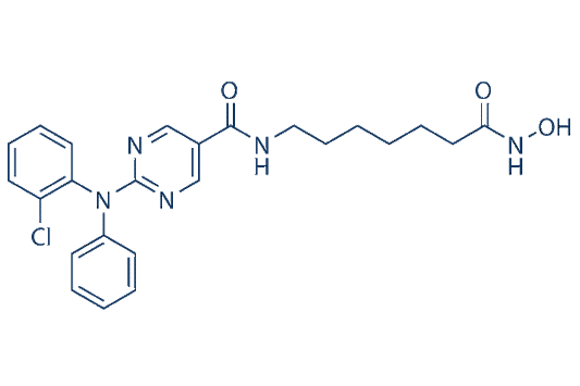 Citarinostat (ACY-241)