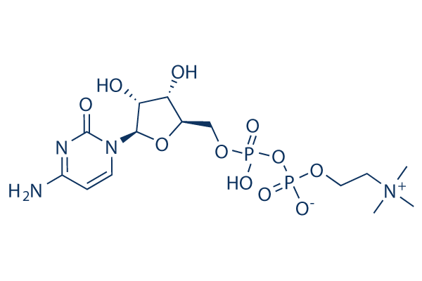 Citicoline