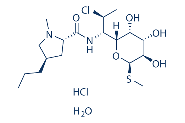 Clindamycin alcoholate