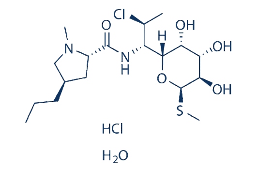 Clindamycin alcoholate